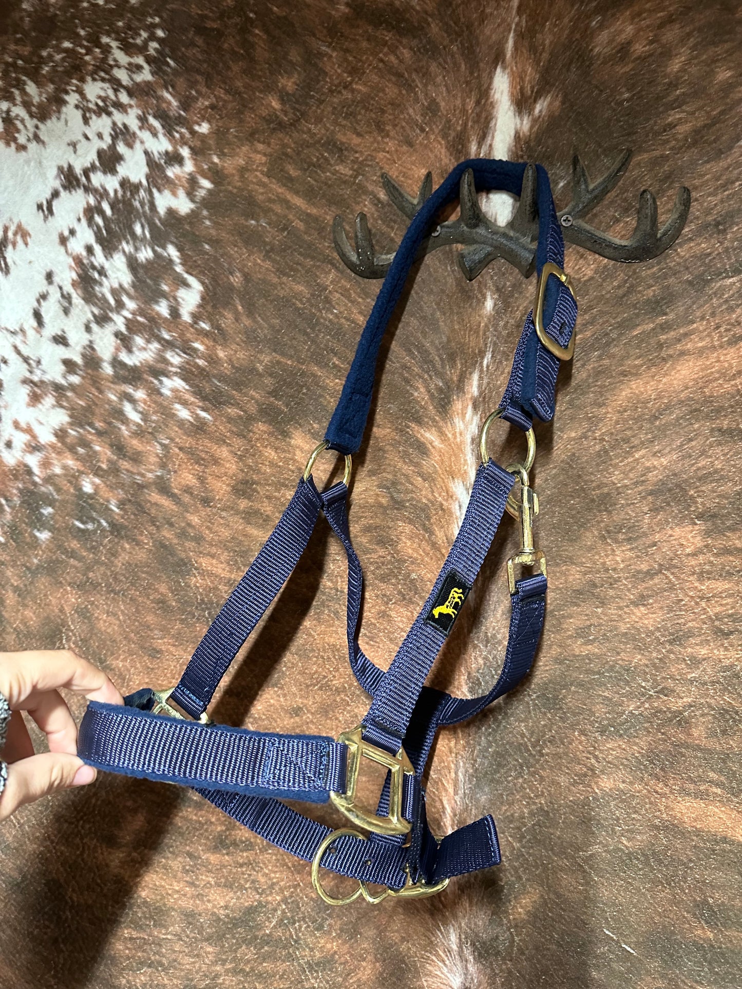 Pony Halter