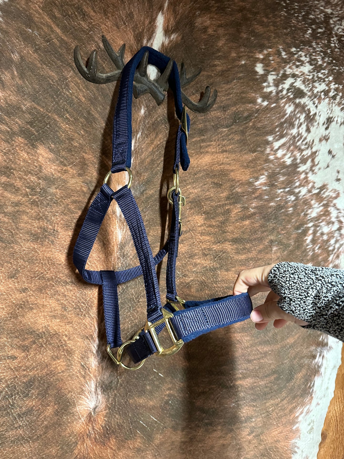 Pony Halter