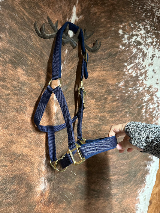 Pony Halter