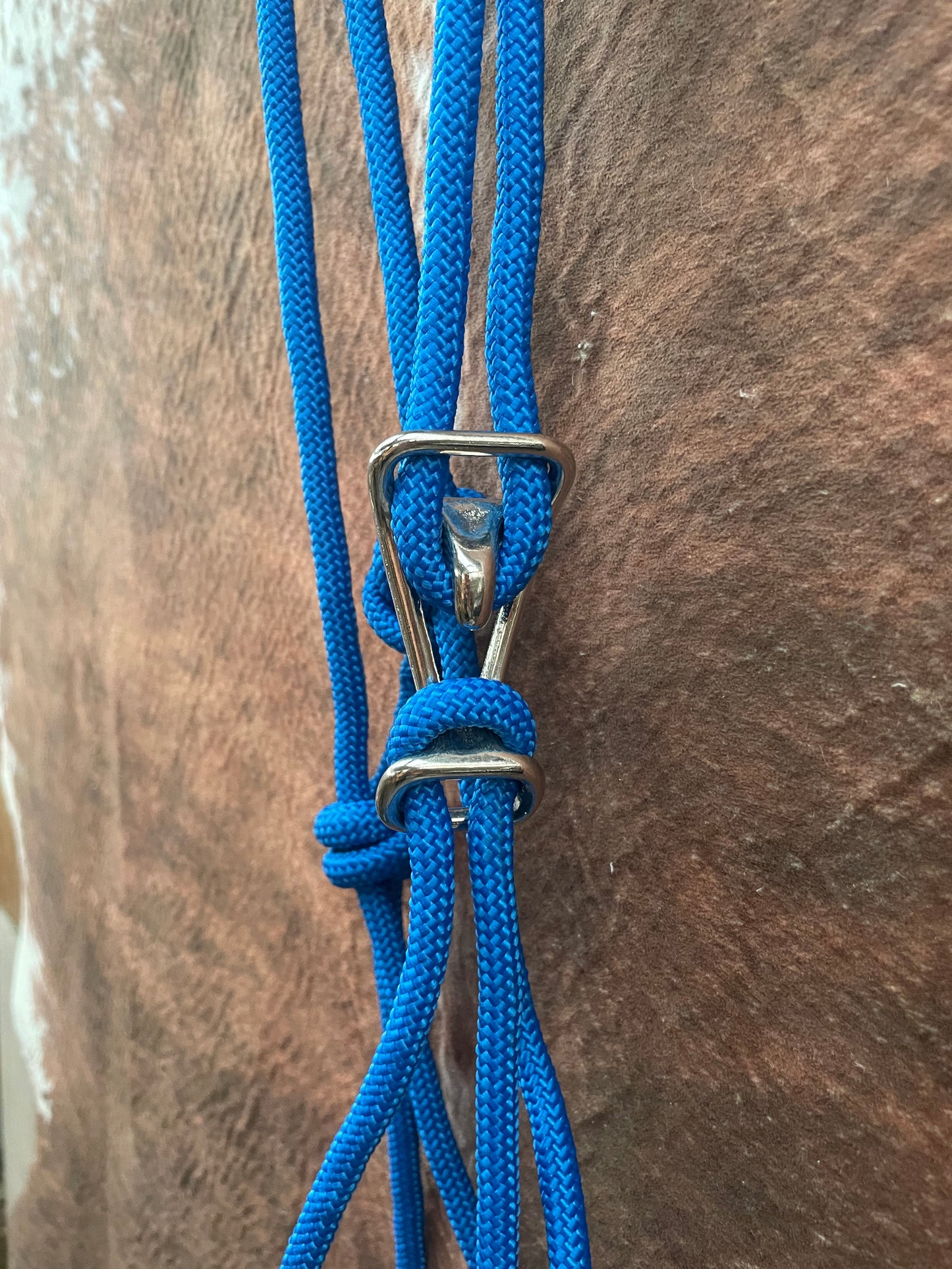 Easy Latch Adjustable Rope Halter W/ Lead